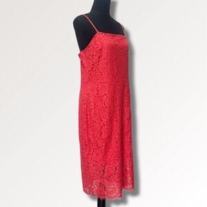 New Express Lace Sheath Spaghetti Strap Mini to Knee Length Dress Sz 14 Coral